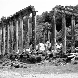 Temple, Euromos, Turkey,  2000