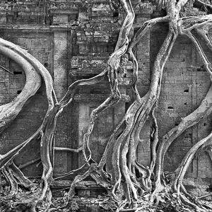 Sambor Prei Kuk, Cambodia, 2016
