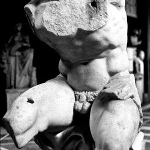 Belvedere Torso, Rome, 1992