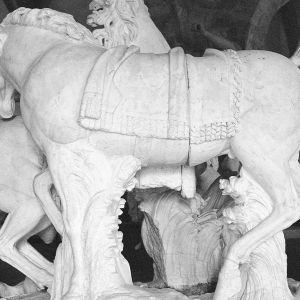 Horses, Versailles, 2014