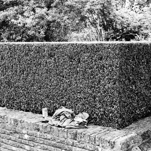 Sissinghurst Castle, 2016