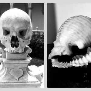 Vanitas II, 2004