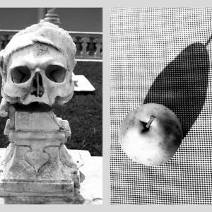 Vanitas IV, 2004
