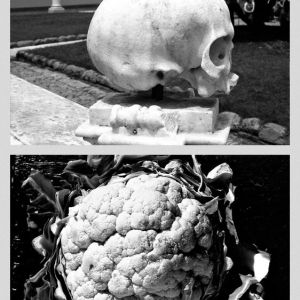 Vanitas V, 2004