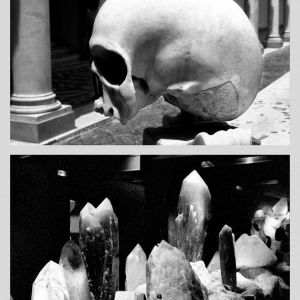 Vanitas VI, 2004