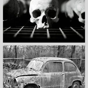 Vanitas VIII, 2006