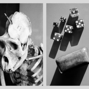 Vanitas X, 2006
