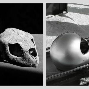 Vanitas XIV, 2007