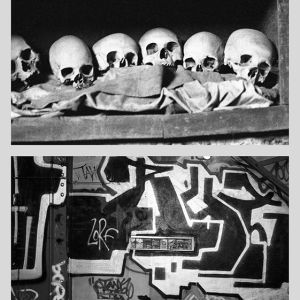 Vanitas XVII, 2007